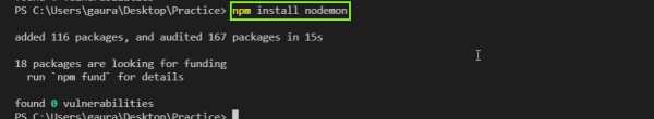 NPM Install Nodemon