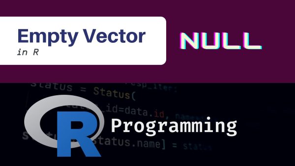 Create an Empty Vector in R - Coding Campus